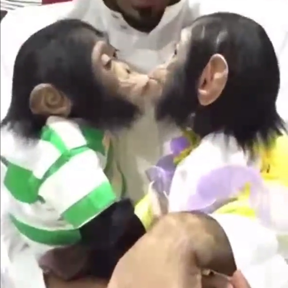 Meet your Posher, Kora